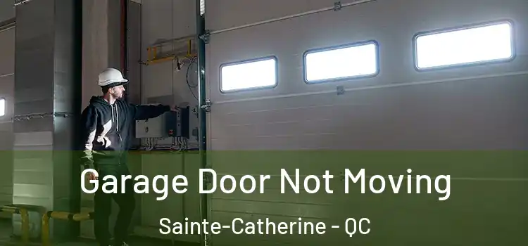  Garage Door Not Moving Sainte-Catherine - QC