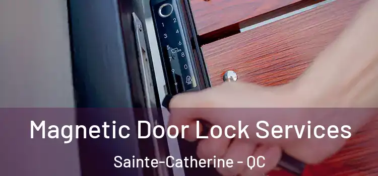 Magnetic Door Lock Services Sainte-Catherine - QC